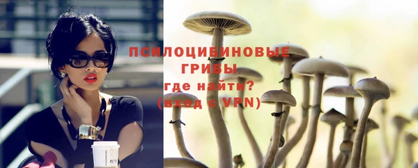 mdma Медвежьегорск
