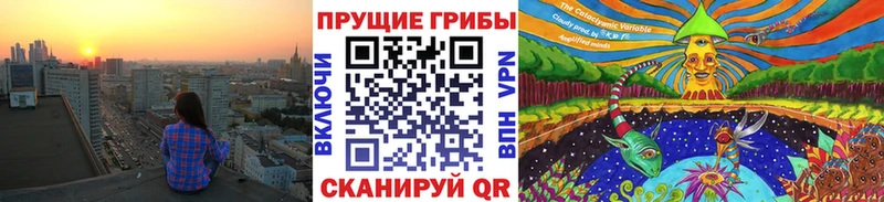 Псилоцибиновые грибы прущие грибы закладка Гдов